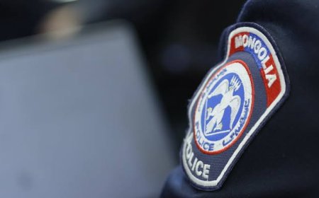ГАДААДЫН ИРГЭД МОНГОЛ ИРГЭНИЙГ ЗОДОЖ ГЭМТЭЭЖЭЭ