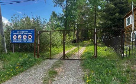 НИЙСЛЭЛИЙН НОГООН БҮСЭД ОРЦ, ГАРЦ ХААСАН, ЗӨВШӨӨРСӨН ХЭМЖЭЭНЭЭС ХЭТРҮҮЛЭН ХАШАА БАРЬСАН ЗӨРЧЛҮҮДИЙГ АРИЛГАЖ БАЙНА