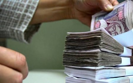 МӨНГӨ УГААХ 59 ХЭРГИЙГ ШҮҮХЭД ШИЛЖҮҮЛЖ, 37 ТЭРБУМ ТӨГРӨГИЙН ХӨРӨНГӨ БИТҮҮМЖИЛЖЭЭ