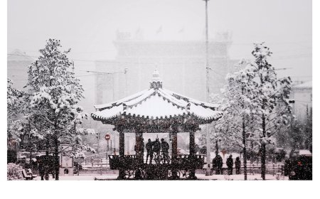 УЛААНБААТАРТ ЯЛИМГҮЙ ЦАС ОРНО