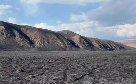 НӨМРӨГИЙН ДАРХАН ЦААЗАТ ГАЗАР УЧИРСАН ХОХИРЛЫГ НАРИЙВЧЛАН ҮНЭЛЖ, НӨХӨН СЭРГЭЭНЭ