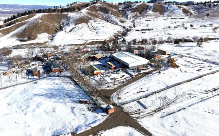 ОЛИМПИД ОРОЛЦОХ ТАМИРЧИД БЭЛТГЭЛЭЭ ХАНГАХ  “ОЛИМП” БЭЛТГЭЛ СЭРГЭЛТИЙН БААЗЫН АЖИЛ 70 ХУВЬТАЙ ҮРГЭЛЖИЛЖ БАЙНА
