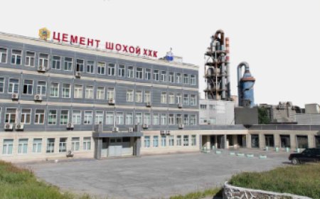 “ЦЕМЕНТ ШОХОЙ” ХХК-ИЙН УДИРДЛАГУУДАД ХОЛБОГДОХ 4.6 ТЭРБУМЫН АВЛИГЫН ХЭРГИЙГ ШҮҮХЭД ШИЛЖҮҮЛЖЭЭ