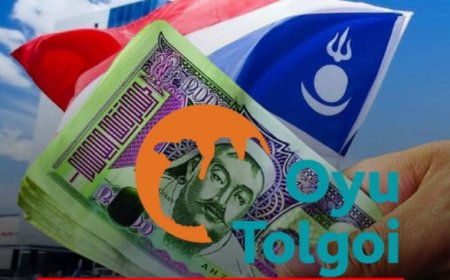 АН: ОЮУ ТОЛГОЙН НОГДОЛ АШГИЙГ БЭЛНЭЭР ТАРААХ ТОГТООЛ САНААЧИЛНА