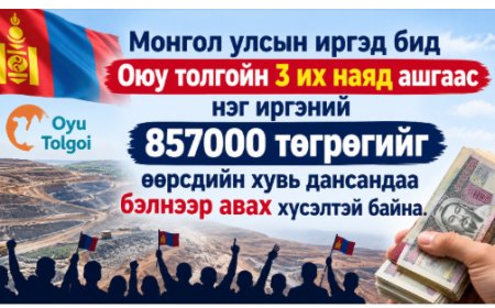 ОЮУТОЛГОЙН НОГДОЛ АШИГ БОЛОХ 3 ИХ НАЯДЫГ ИРГЭН БҮРД ХУВААЖ ДАНСАНД НЬ ӨГӨХИЙГ ШААРДАЖ, ГАРЫН ҮСЭГ ЦУГЛУУЛЖ ЭХЭЛЖЭЭ
