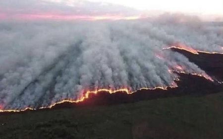 НӨМРӨГИЙН ДАРХАН ЦААЗАТ ГАЗРЫН 76.4 ХУВЬ НЬ ТҮЙМЭРТ ӨРТӨЖ ШАТЖЭЭ