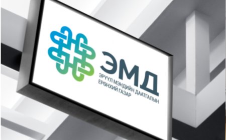ХҮҮХДИЙН ӨДРИЙН ЭМЧИЛГЭЭНД ЭМДС-ГААС 100 МЯНГАН ТӨГРӨГИЙН БАГЦ ЭМ ОЛГОНО