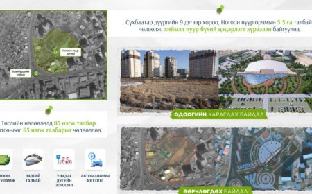 НОГООН НУУР ОРЧИМД ЦЭЦЭРЛЭГТ ХҮРЭЭЛЭН БАЙГУУЛАХ АЖЛЫН ГҮЙЦЭТГЭЛ 30 ХУВЬД ХҮРЧЭЭ