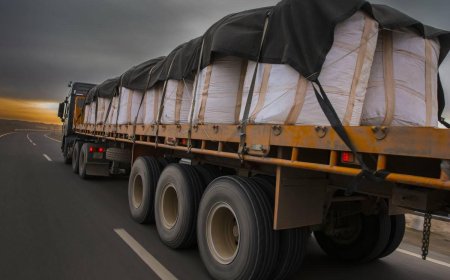 ЗЭСИЙН БАЯЖМАЛЫН ЭКСПОРТ СААРЧ, ЭДИЙН ЗАСАГТ ЭРСДЭЛ ҮҮСЭЭД БАЙНА