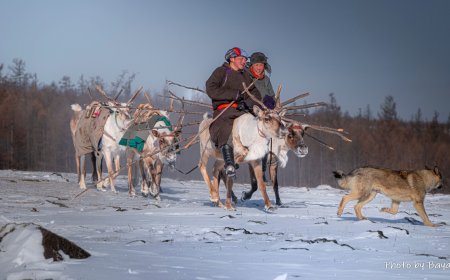 БАЯН-ӨЛГИЙ, УВС, ХӨВСГӨЛИЙН БАРУУН, БАЯНХОНГОРЫН ХОЙД СУМДААР ЦАС ОРЖ, ЯВГАН ШУУРГА ШУУРНА