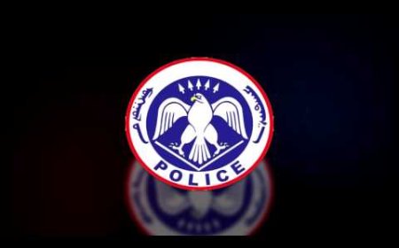 НЭГ ӨДРИЙН ДОТОР ХҮҮХЭД, ГЭР БҮЛИЙН ХҮЧИРХИЙЛЭЛ 55 БҮРТГЭГДЭЖ, 106 ХҮН ЭРҮҮЛЖҮҮЛЭГДЖЭЭ