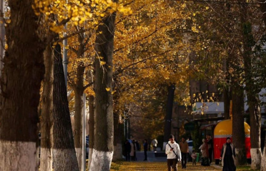 УЛААНБААТАРТ ӨНӨӨДӨР 16 ХЭМ ДУЛААН БАЙНА