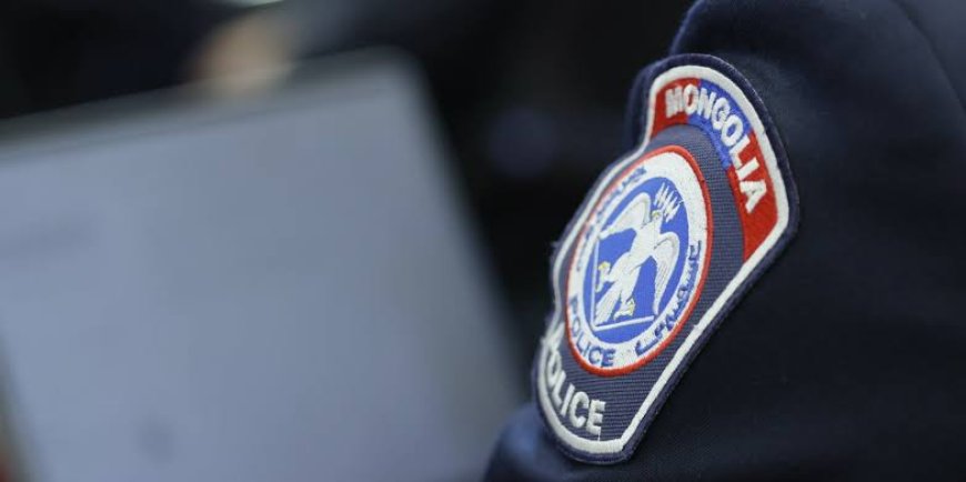 ГАДААДЫН ИРГЭД МОНГОЛ ИРГЭНИЙГ ЗОДОЖ ГЭМТЭЭЖЭЭ