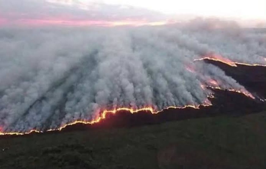 НӨМРӨГИЙН ДАРХАН ЦААЗАТ ГАЗРЫН 76.4 ХУВЬ НЬ ТҮЙМЭРТ ӨРТӨЖ ШАТЖЭЭ